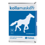 kollamasken häst