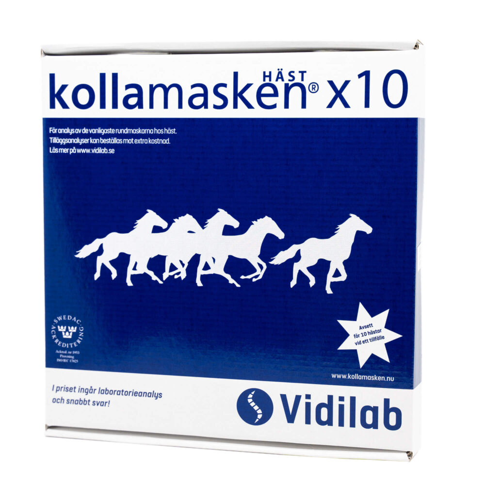 kollamasken 10 hästar