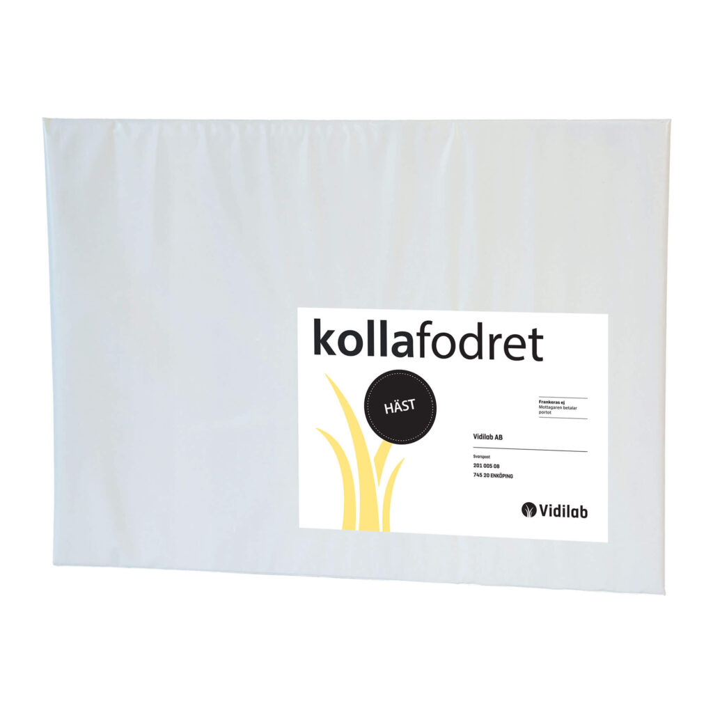 kollafodret häst