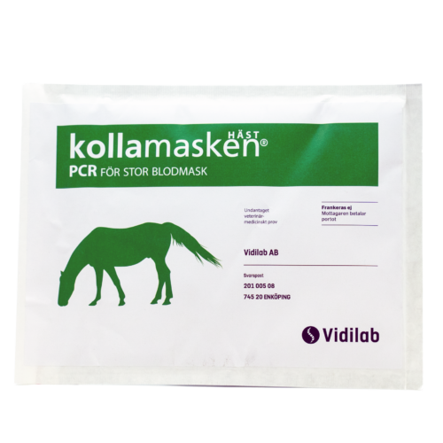 kollamasken PCR stor blodmask 1 häst