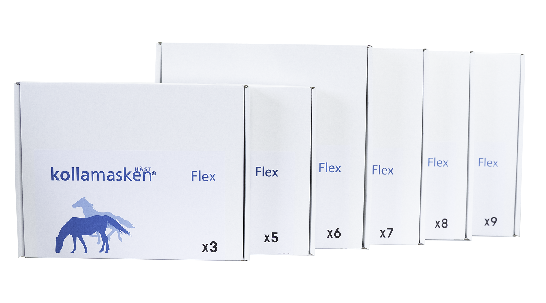 Flex 1800x1000