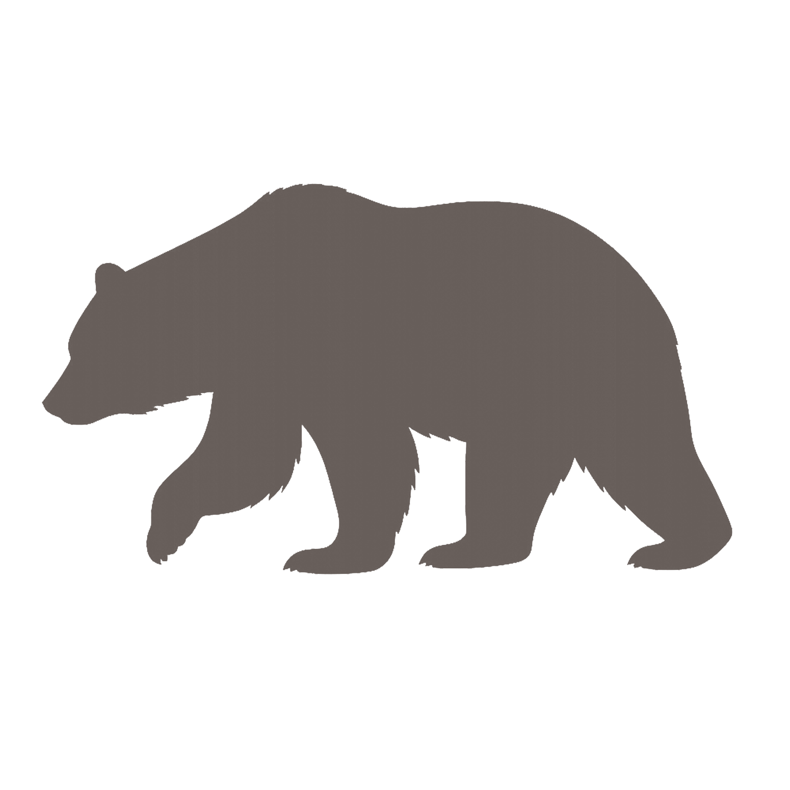 Trikintest på björn